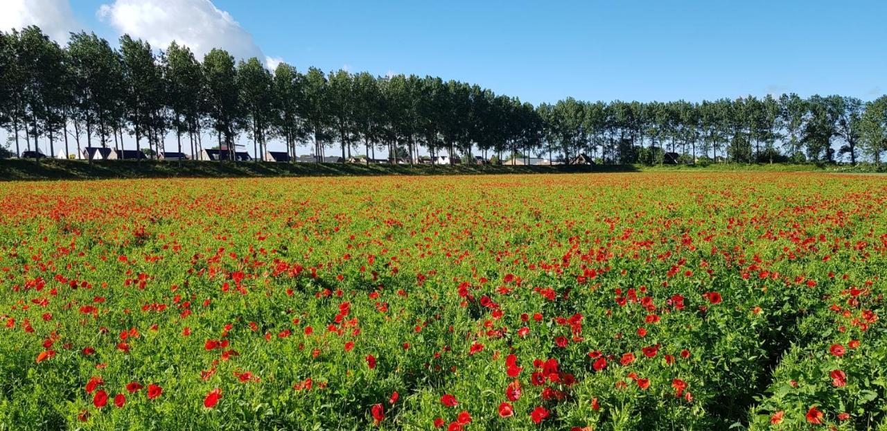 Villa Emilia - Gemuetliches Kinderfreundliches Blockhaus Mit Umzaeuntem Garten Sint Annaland Bagian luar foto